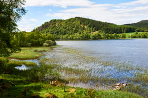 Loch Ruthven<br>NIKON Df, 38 mm, 140 ISO,  1/125 sec,  f : 11 , Distance :  m